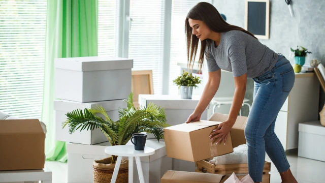 The Clutter Cure: A Complete System for Lasting Home Organization