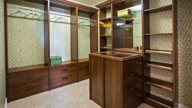 Custom Closet Design Ideas for Modern Living