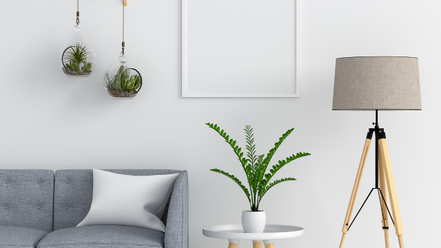 How to Transform Your Living Space with Professional Renovations